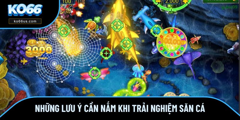 Những lưu ý cần nắm khi trải nghiệm săn cá