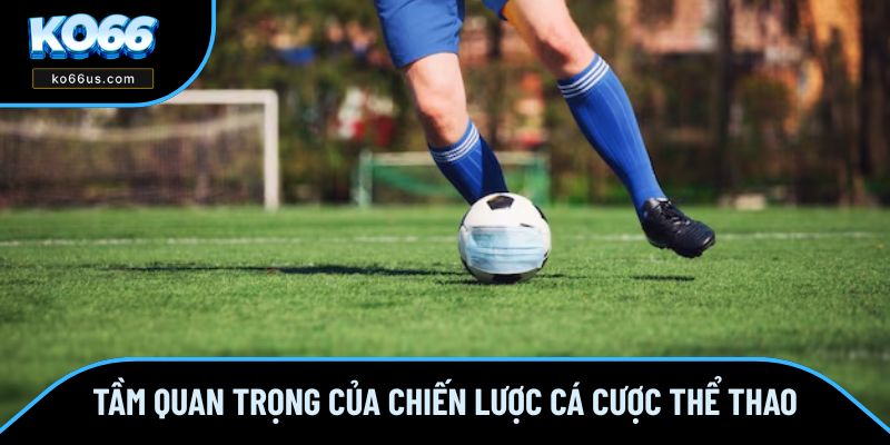 Tầm quan trọng của chiến lược chơi cá cược thể thao Tầm quan trọng của chiến lược chơi cá cược thể thao